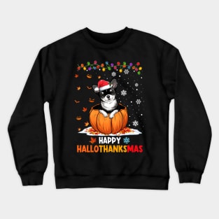 Chihuahua On Pumpkin Happy Hallothanksmas Crewneck Sweatshirt